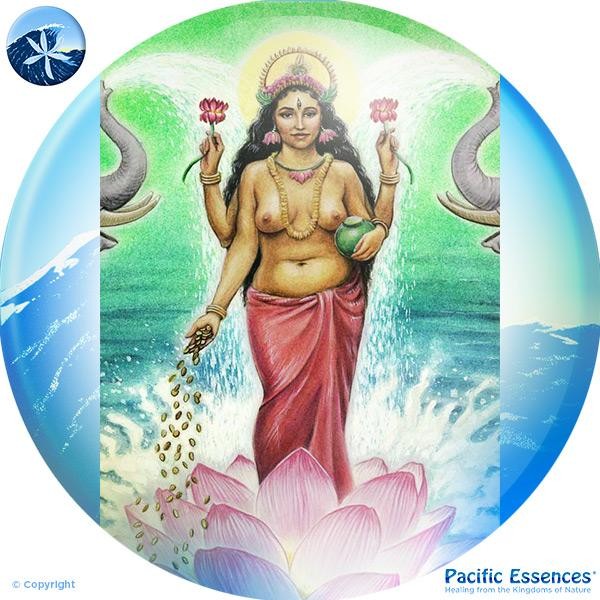 Lakshmi - Goddess Essence