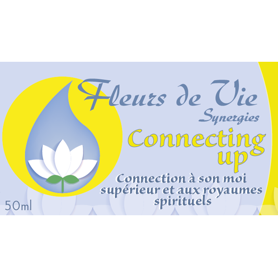 Connecting up - spray 50ml