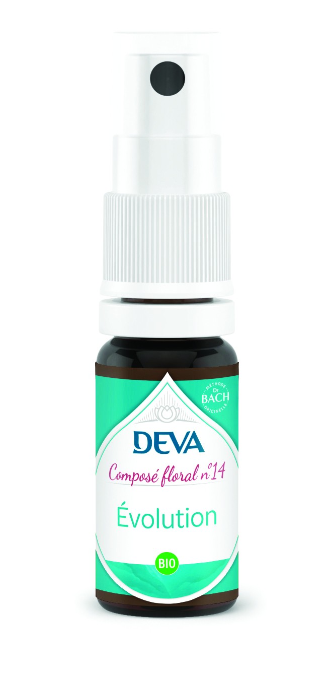 14 Evolution