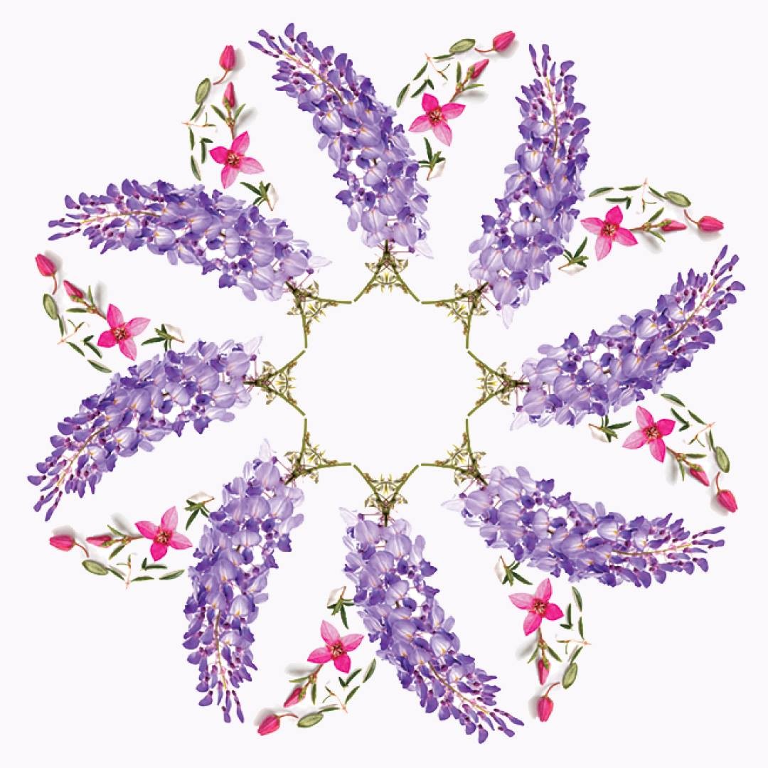 Replenishing Night Cream