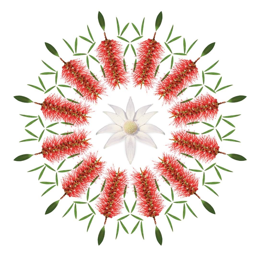 Gentle Exfoliating Cream