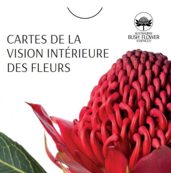 Flower Insight Cards in French