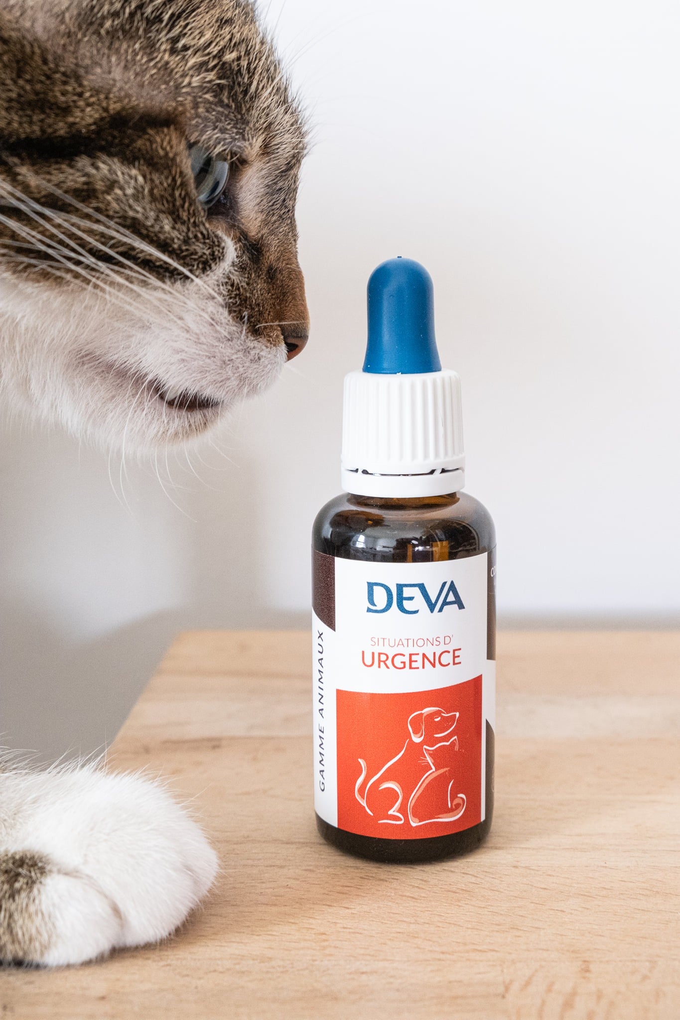 Situations d'Urgence (pour animaux)