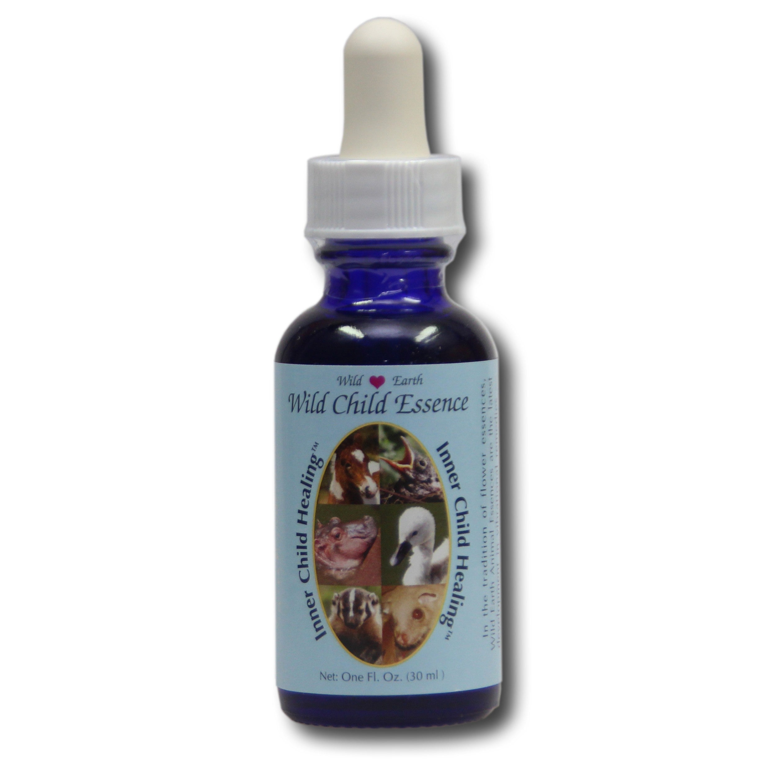 Inner Child Healing