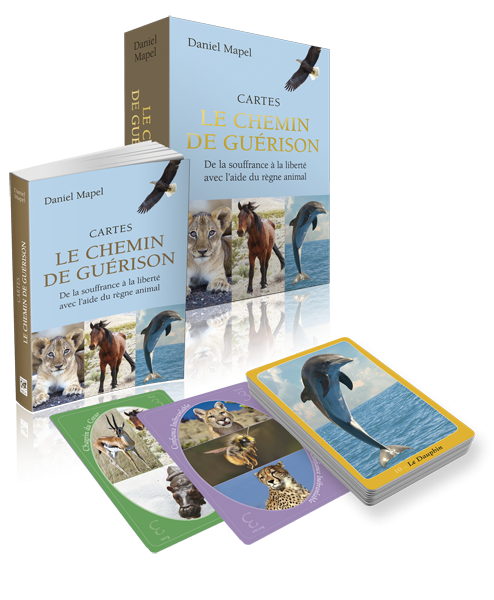 Coffret Chemin de Guérison (cartes et livre)