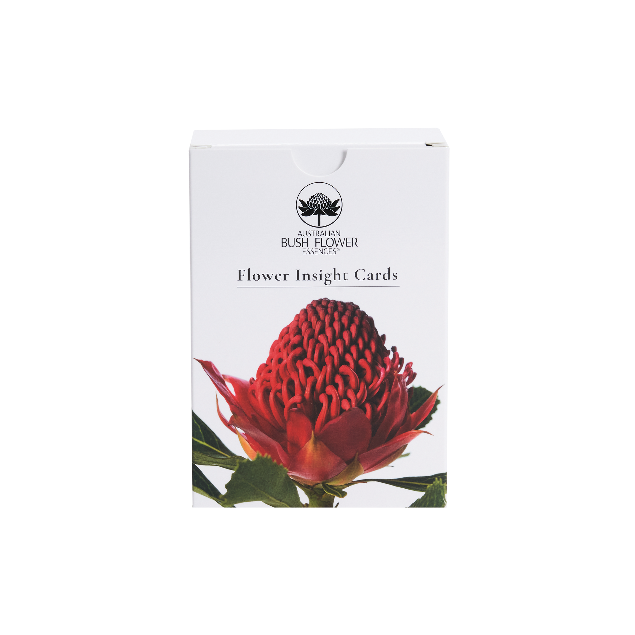 Australian Bush - Flower Insight Cards
