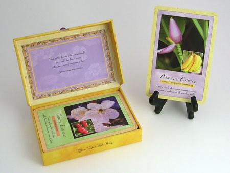 Spirit in Nature: Affirmation Cards