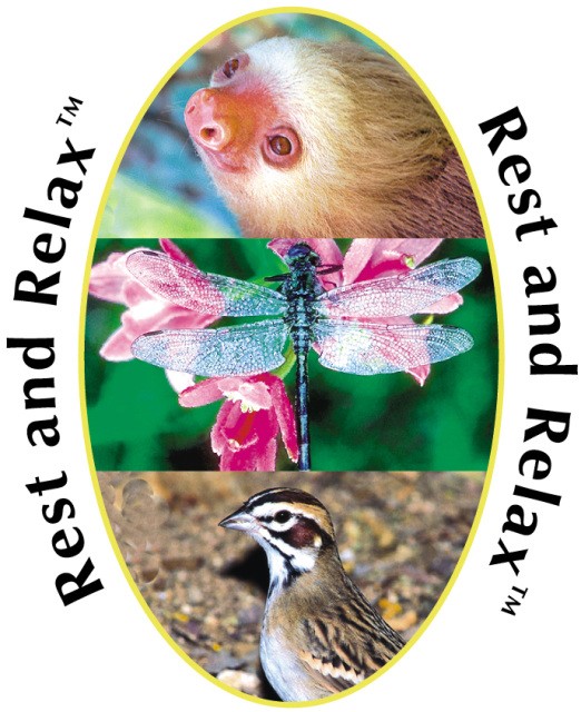 Rest and Relax -repos & relaxation