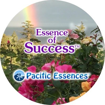 Essence of Success - Elixir du Succès