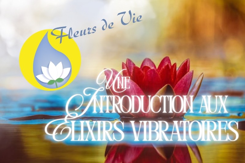 Une Introduction aux élixirs vibratoires