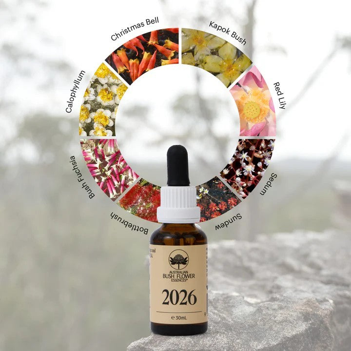 red lily bush flower essence 2026 Essence: Clarté, action décisive et résilience — Fleurs de Vie