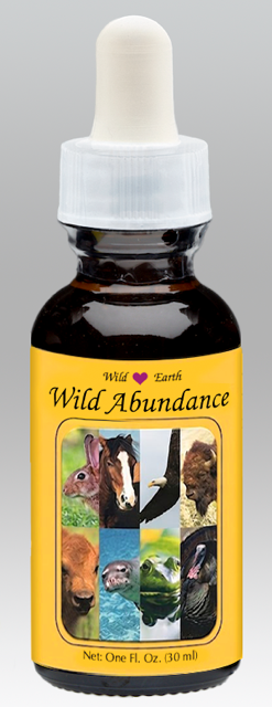 Wild Abundance - Wild Earth Animal Essences