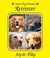 Wild Earth Animal - Elixirs Inner Dog 