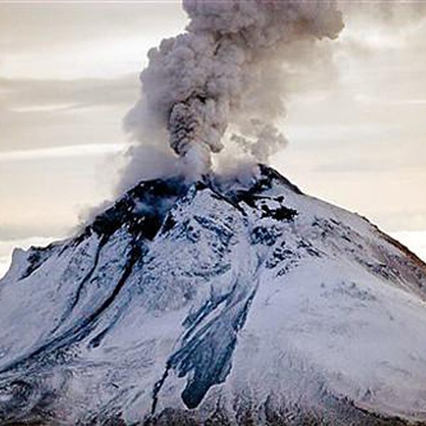 Alaskan - Elixirs environnementaux en recherche