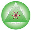 Ile de lumière logo
