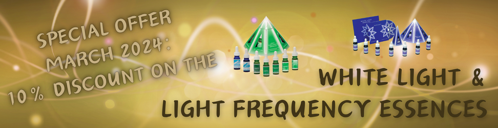 Offre FR 3.png