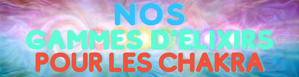 TOP%20BANNER%20FR.png