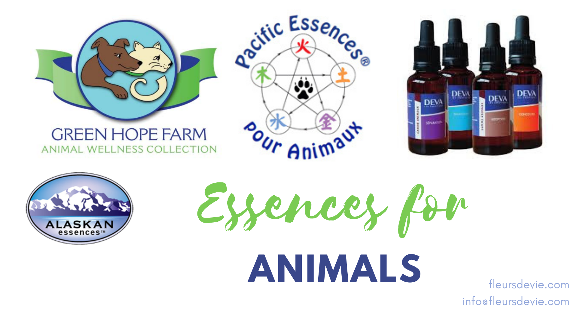 Essences for animals.png