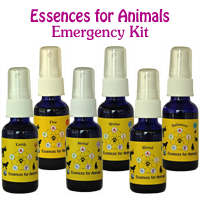 Emergency kit