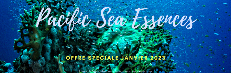 Offre Speciale