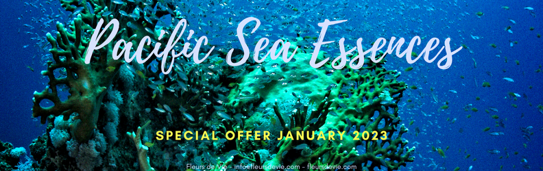 Offre Speciale
