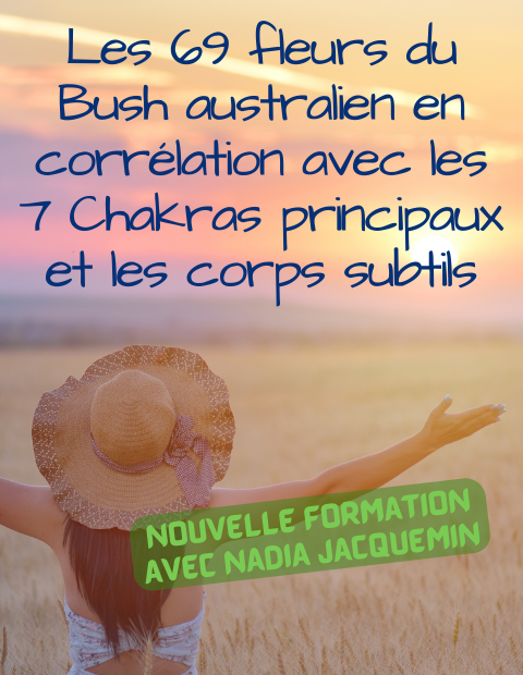 Formation nadia chakras.png