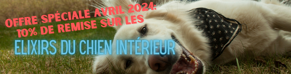 Offre FR 3.png