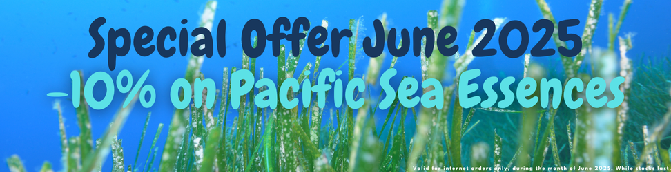offer.png
