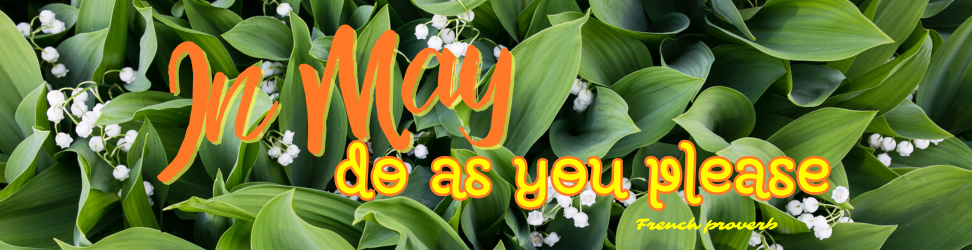 May header ENG.png