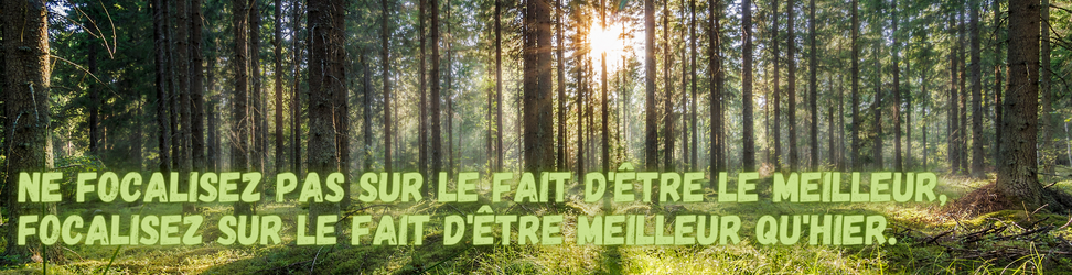 TOP%20BANNER%20FR.png