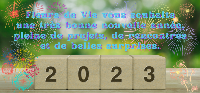 Meilleures voeux 2023