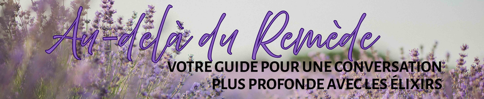 2 Titre FR.png