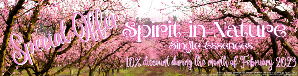 Offre Speciale