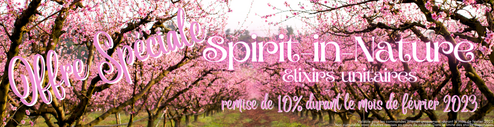 Offre Speciale