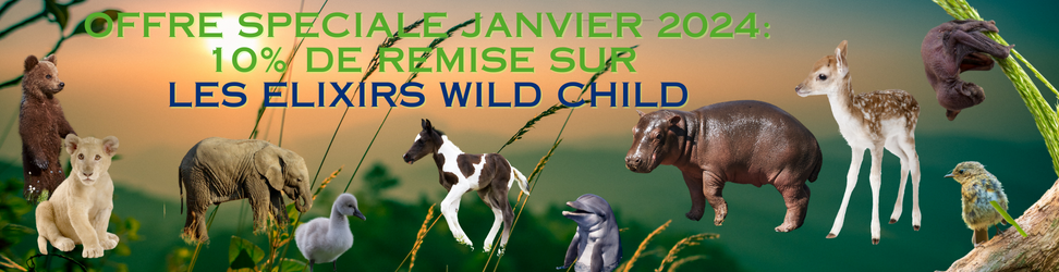 Offre FR 3.png