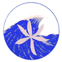 Pacific Logo