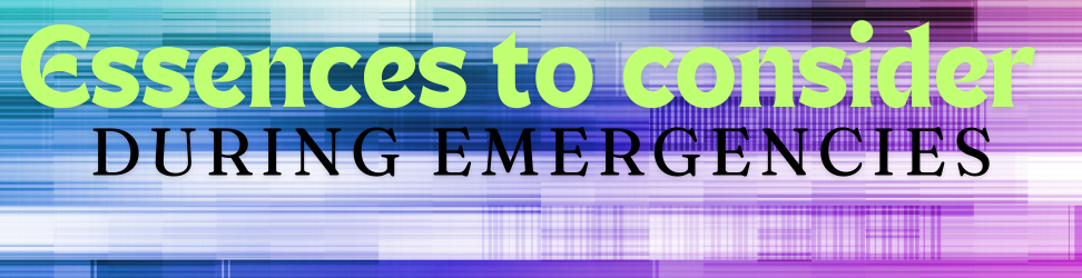 emergency ENG.png