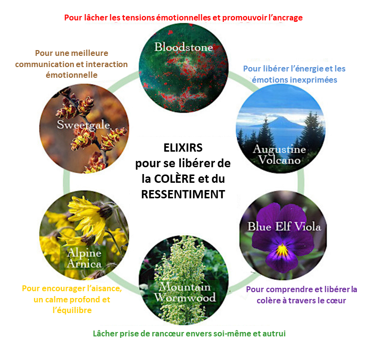 fdv image march 2020 newsletter_1.png