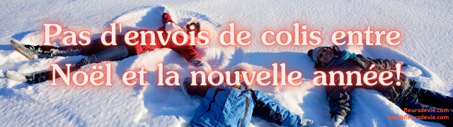 fermeture entre noel et ny (1).png