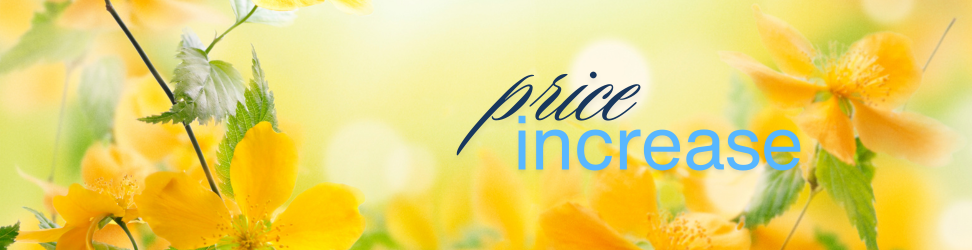 offer (2).png